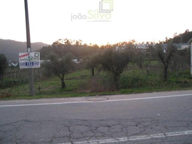 Ponte de Lima Ponte de Lima 104875158