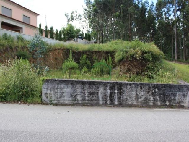 Ponte de Lima Ponte de Lima 103943235