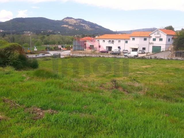 Ponte de Lima Ponte de Lima 87079004