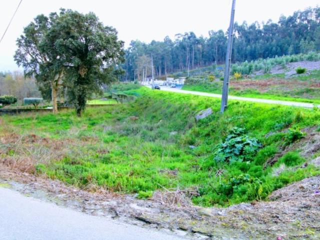 Ponte de Lima Ponte de Lima 88263767