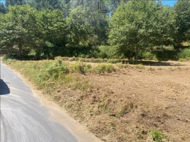 Ponte de Lima Ponte de Lima 96147115