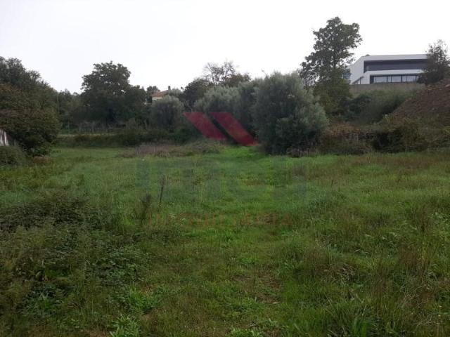 Ponte de Lima Ponte de Lima 97882858