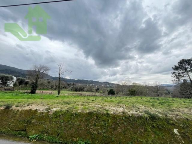 Ponte de Lima Ponte de Lima 97120754