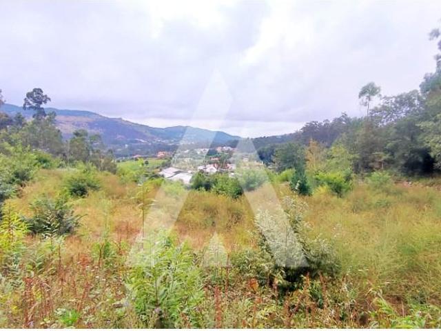 Ponte de Lima Ponte de Lima 97192545