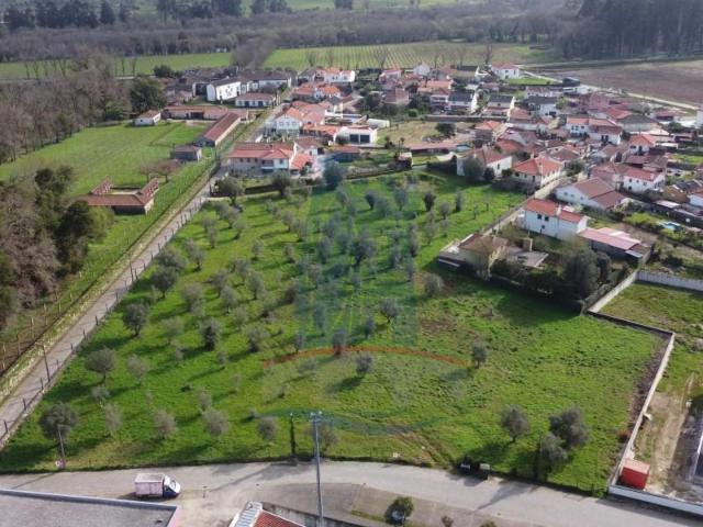 Ponte de Lima Ponte de Lima 98319218