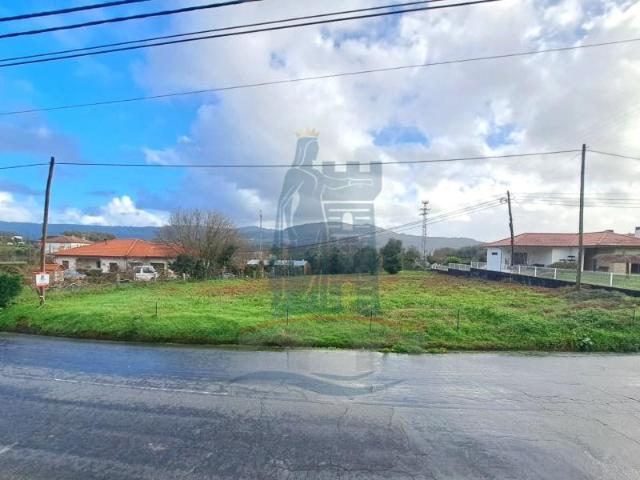 Ponte de Lima Ponte de Lima 99470506