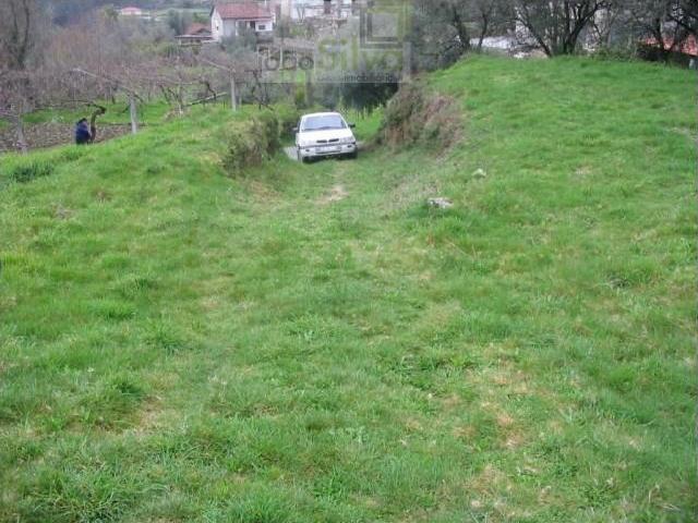 Ponte de Lima Ponte de Lima 99923843