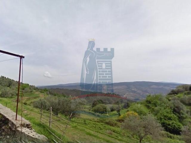 Ponte de Lima Ponte de Lima LS101864789