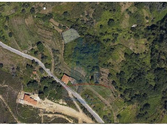 Ponte de Lima Ponte de Lima LS102822318