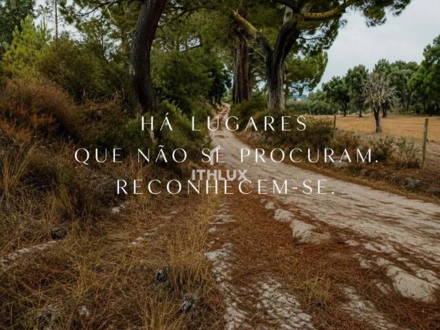 Ponte de Sor Portalegre 103338859