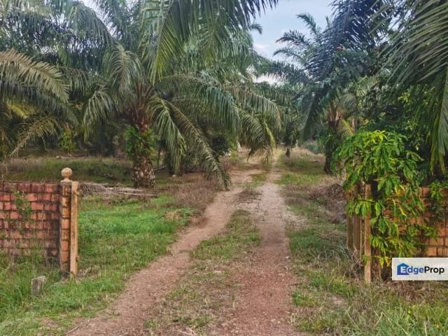 Pontian Besar