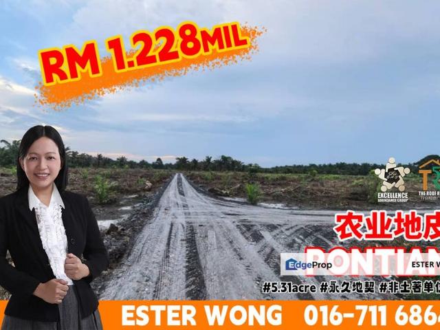 Pontian Besar