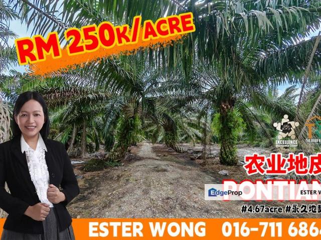Pontian Besar