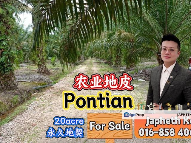 Pontian Besar
