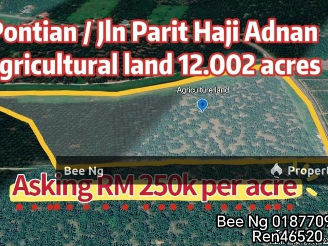 Pontian / Jalan Parit Haji Adnan / Agricultural Land / 1st layer Flat Terrain
