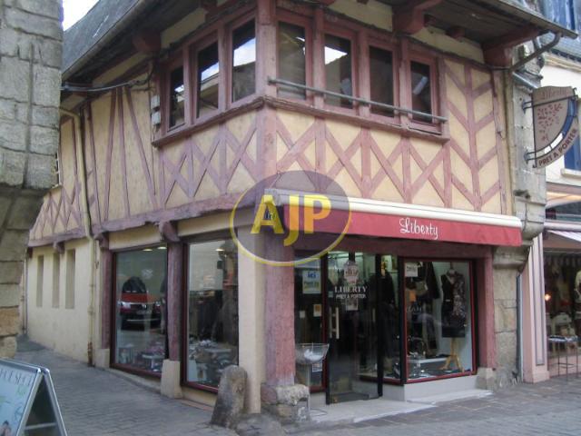 Pontivy Vente Immeuble 56