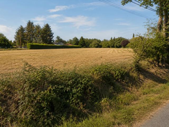 Poncins Vente Terrain 42