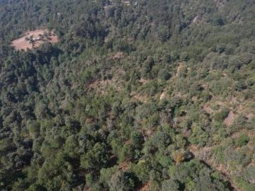 PONGO A LA VENTA 6.7 HECTÁREAS DE TERRENO EN ZACATLÁN, PUEBLA