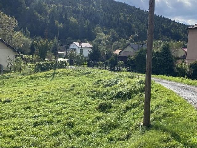 Ponikiew, 1 600 m2