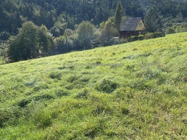 Ponikiew, 2 100 m2