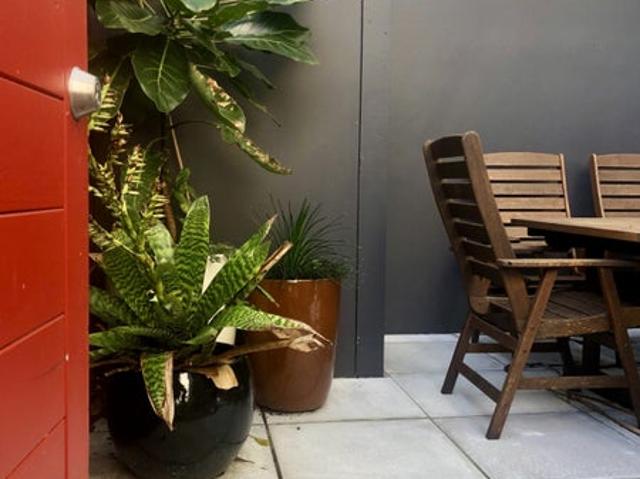 ponsonby, 1 bedroom