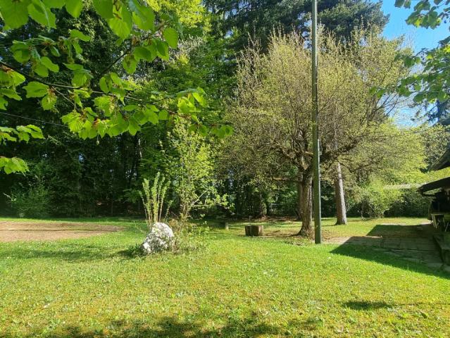 Pools – Baue deinen Traum