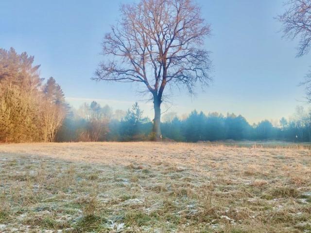 Działka 999 m² z warunkami zabudowy pod dom jednorodzinny