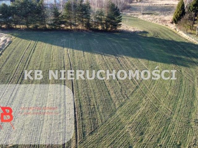 Pod Lasem 4 425 m², Rybnik