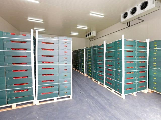 Podedworze 200 m², Kraków