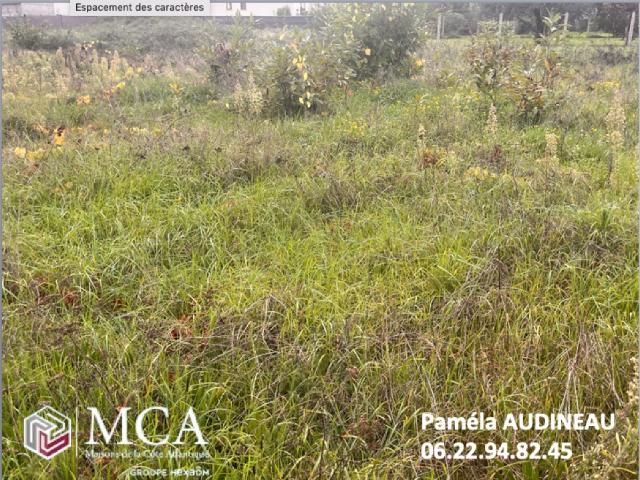 Podensac Vente Terrain 33