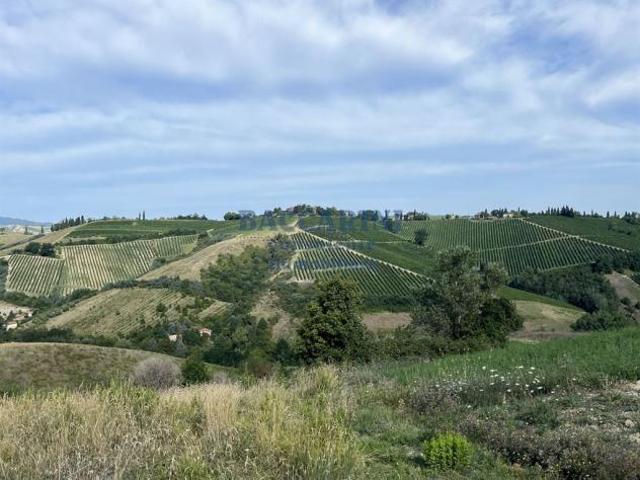 PODERE AGRICOLO CON CAPANNONE BRISIGHELLA FAENZA VIA AGELLO E SANDRONA