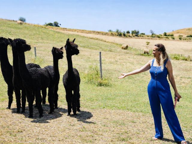 Podere Alpaca—casa ecologica, 8,5 Ha recintati e potenzialit. 102m² Cinigiano