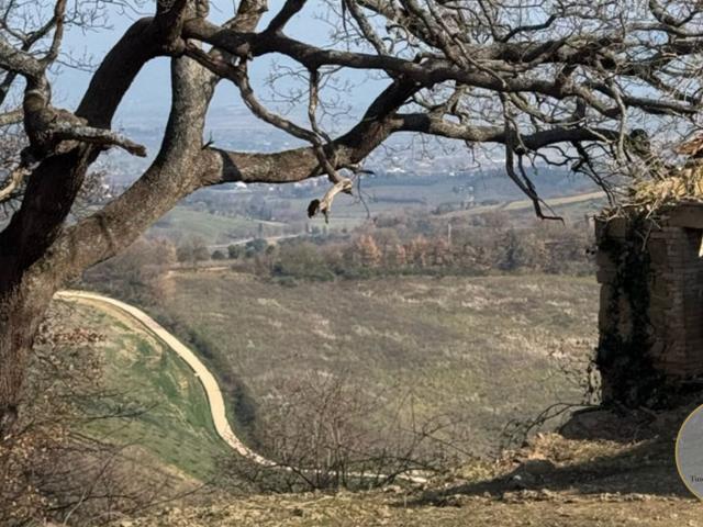 Podere Arco · Mtp240 1100m² Montepulciano