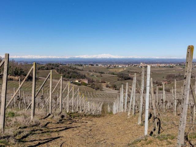 Podere in vendita Strada Mussana, Fontanile, Asti, Piemonte