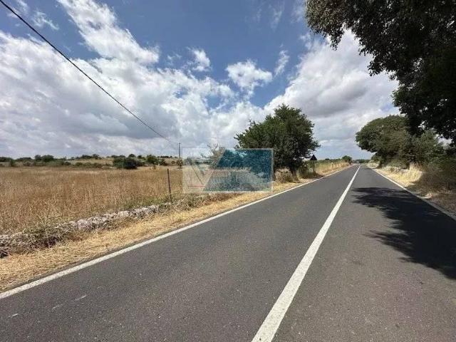 Podere Tenuta in vendita a Noto