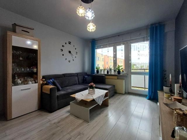 Podgórna 51,05 m², Toruń