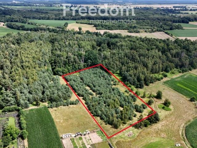 Podgórna 11 083 m², Niemodlin