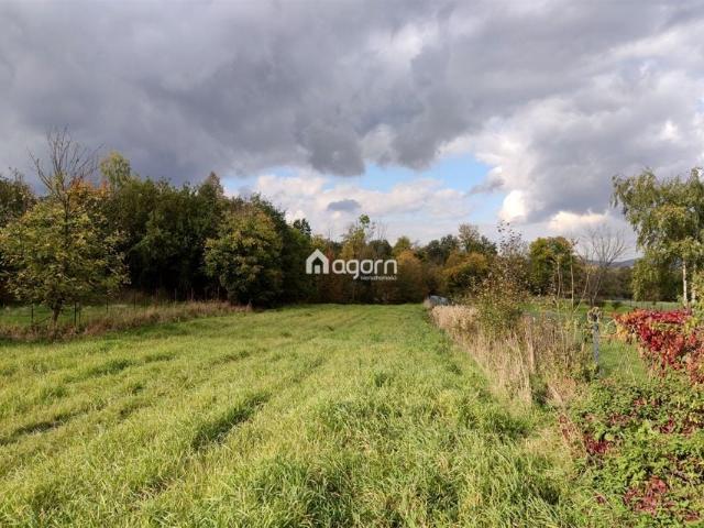 Podlas 2 600 m², Lipowa