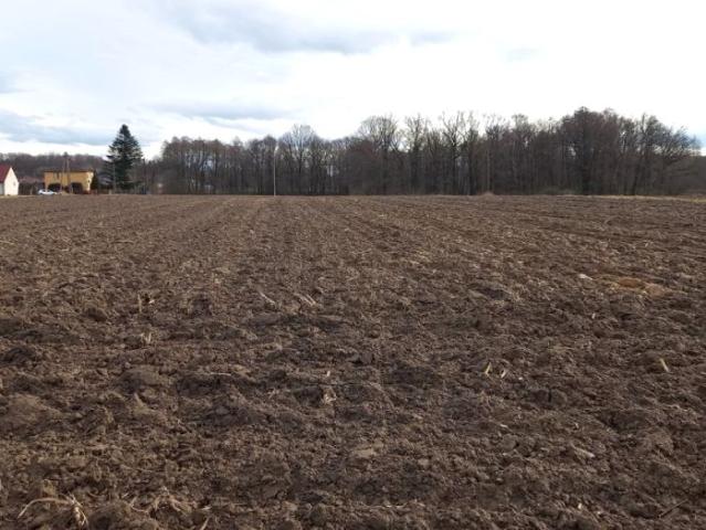 Podlesie 18 600 m², Pawłowice