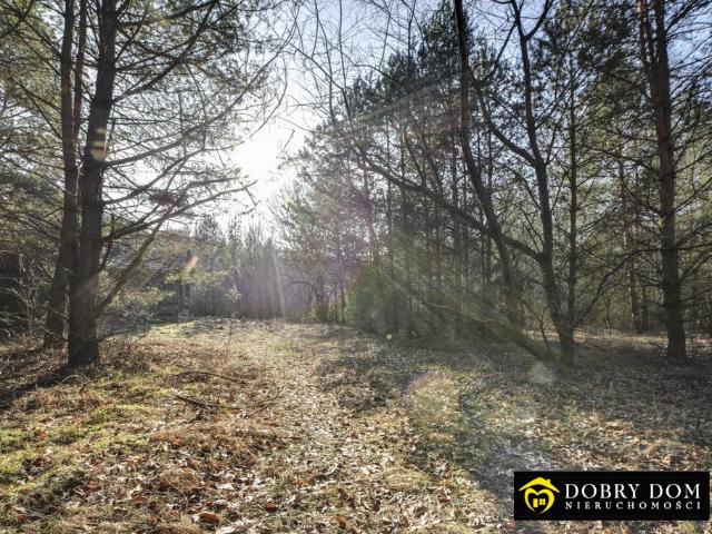 Podozierany, 72 m2