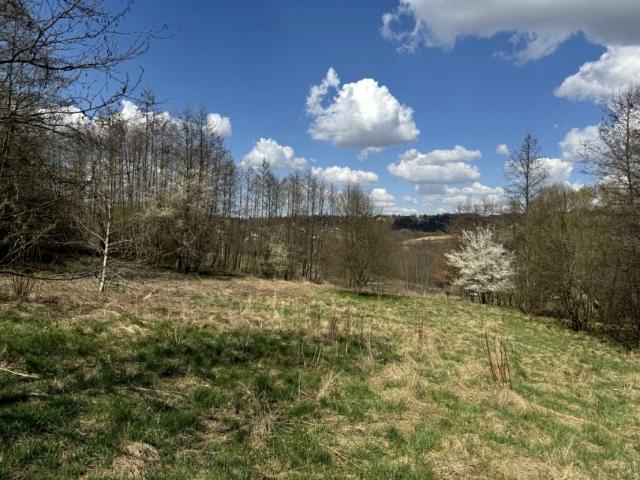 Podstolice 2 800 m², Podstolice