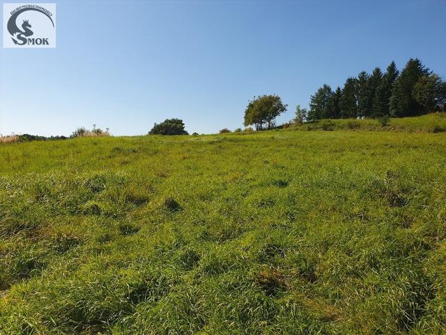 Podstolice, 6 800 m2