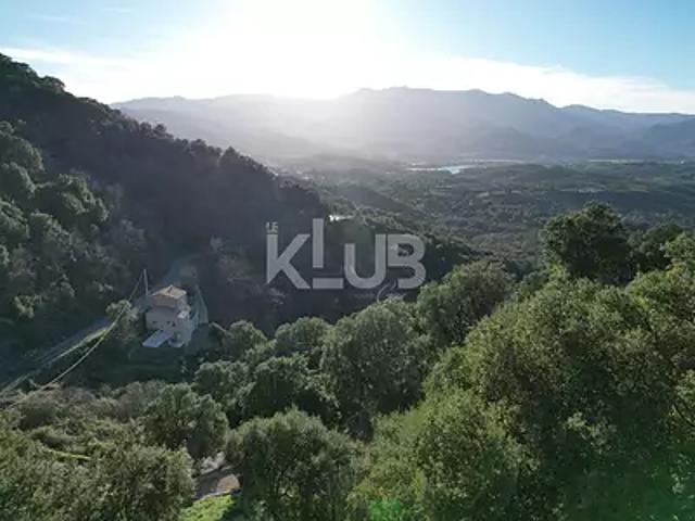 Poggio d'Oletta 20232 Achat / Vente terrain