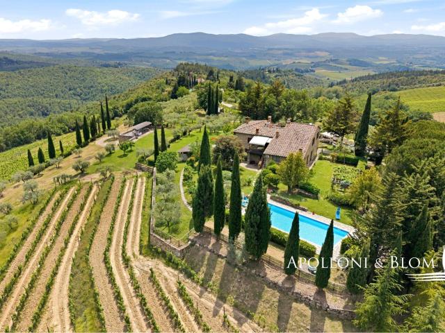 Poggio dell’Eremo: Fattoria Biologica con vista mozzafiato. 243m² Castellina in Chianti