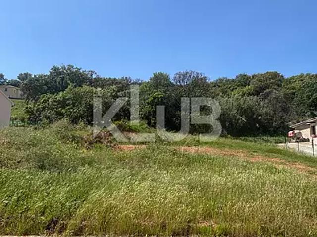 Poggio Mezzana 20230 Achat / Vente terrain