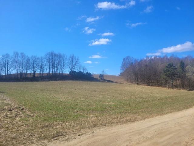 Pogodna 2 301 m², Gołubie