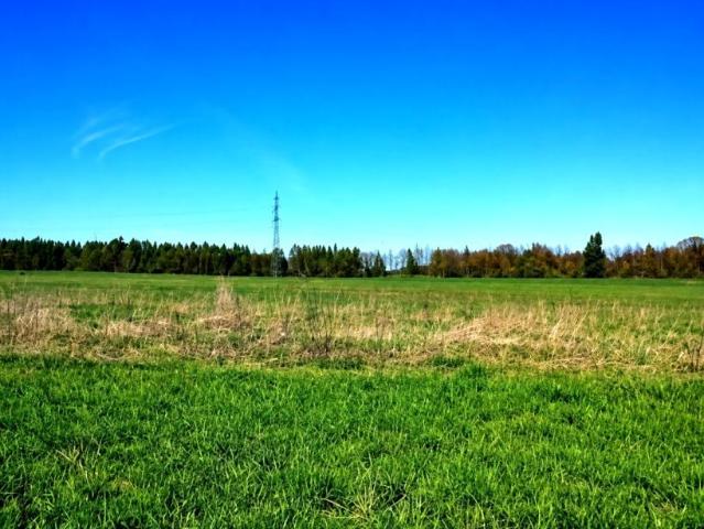 Pogodna 904 m², Przyjaźń