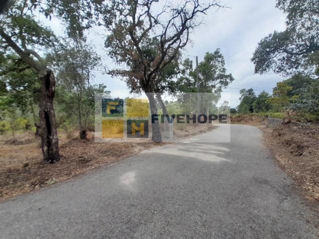 Poiares Terreno para Construção