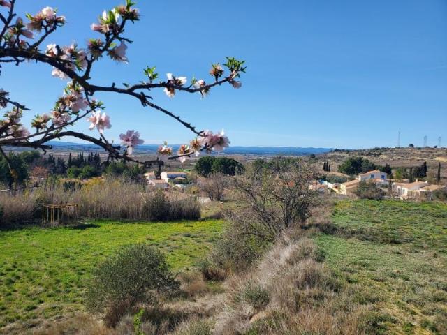Poilhes Vente Terrain 34