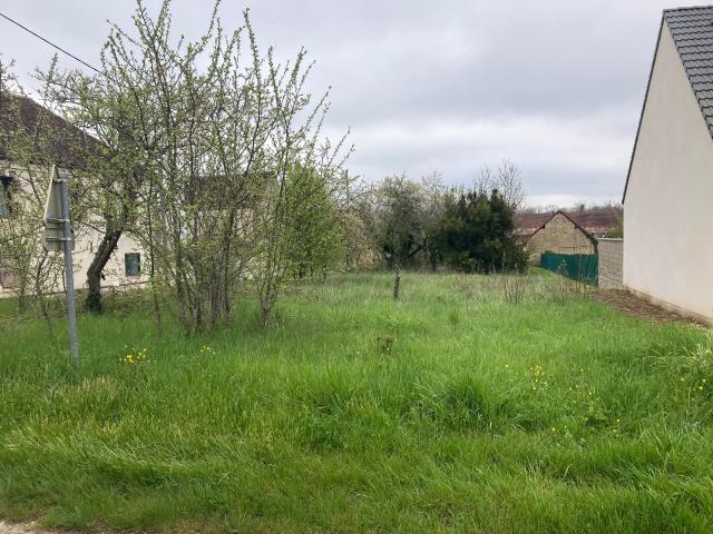 Poilly sur Tholon Vente Terrain 89